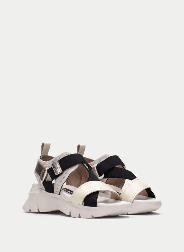 sandals sport latte-black-champagne hispanitas